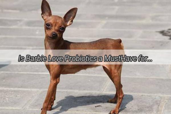 Is Barbie Love Probiotics a MustHave for Your Pups Gut Health